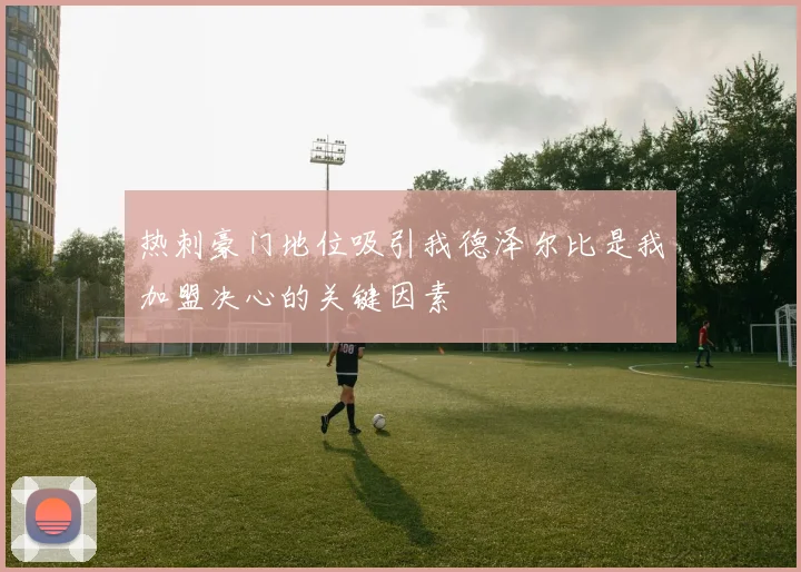 热刺豪门地位吸引我德泽尔比是我加盟决心的关键因素